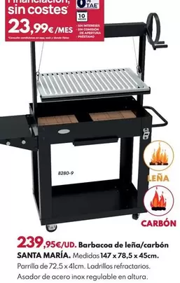 Barbacoa De Lena/Carbón Santa Maria