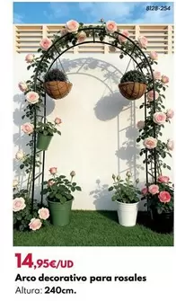 Arco Decorativo Para Rosales