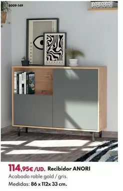 Recibidor ANORI