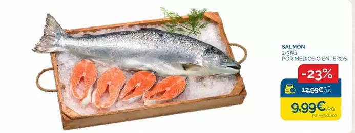 Salmon
