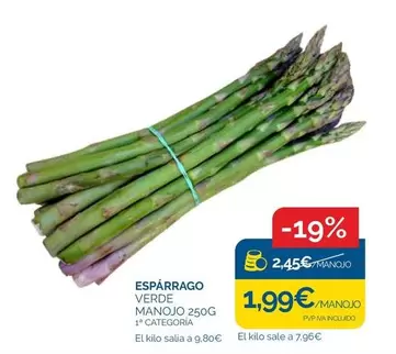 Esparrago Verde Manojo