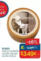 Cerrato - Queso Oveja Curado Leche Cruda Alma Oveja