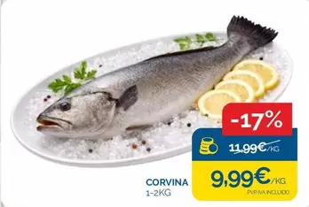 Corvina