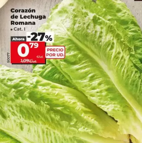 Corazón De Lechuga Romana
