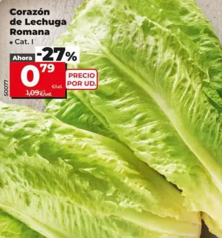 Corazon De Lechuga Romana