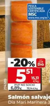 Dia Mari Marinera - Salmon Salvaje 