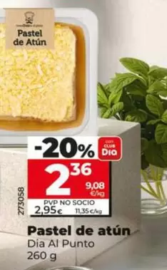 Dia Al Punto - Pastel De Atun 