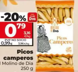 El Molino De Dia - Picos Camperos