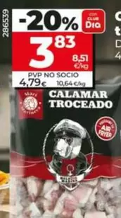 Dia Mari Marinera - Calamar Troceado 