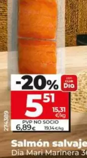 Dia Mari Marinera - Salmon Salvaje