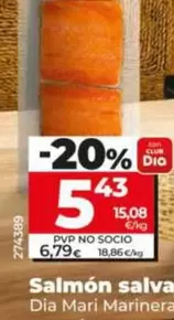 Dia Mari Marinera - Salmon Salvaje 