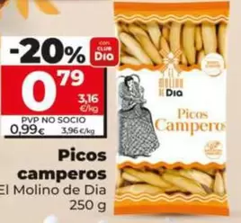 El Molino De Dia - Picos Camperos 