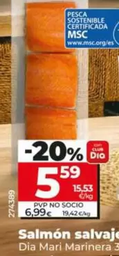 Dia Mari Marinera - Salmón Salvaje 