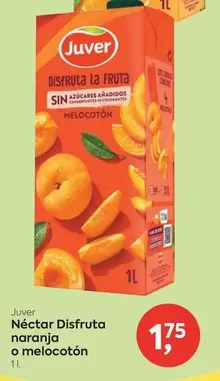 Juver - Néctar Disfruta Naranja O Melocoton