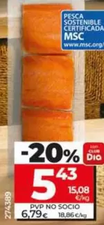 Dia Mari Marinera - Salmón Salvaje 