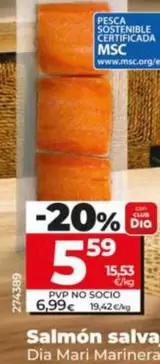 Dia Mari Marinera - Salmon Salvaje 