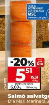 Dia Mari Marinera - Salmon Salvaje 