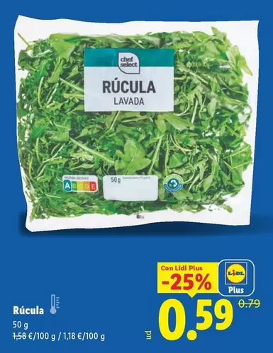 Rúcula 