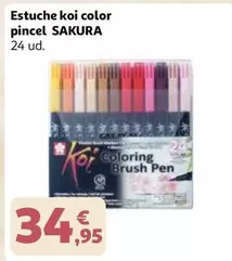 Estuche Koi Color Pincel