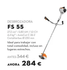 Desbrozadora FS 55
