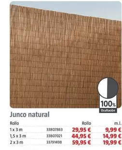 Junco Natural