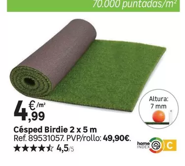 home - Cêsped Birdie 2 X 5 M
