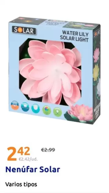 Solar - Nenufar Solar