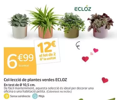 Ecloz - Colección De Plantas Verdes