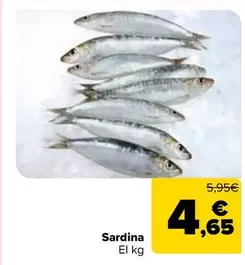 Carrefour - Sardina
