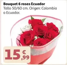 Bouquet -  6 Rosas Ecuador