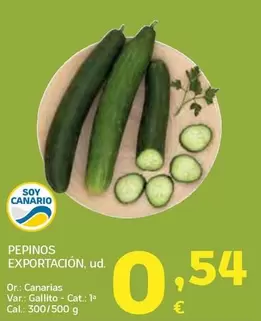 Pepinos Exportacion