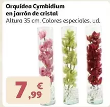 Cristal - Orquídea Cymbidium En Jarrón De