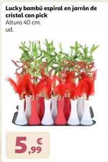 Cristal - Lucky Bambú Espiral En Jarrón De  Con Pick