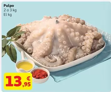 Pulpo