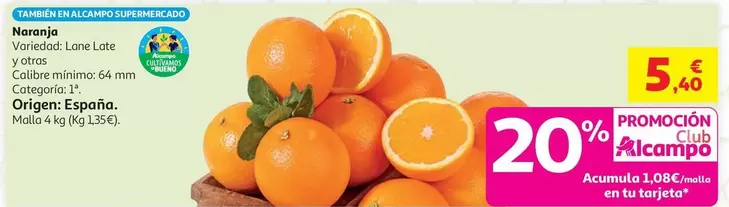 Naranja