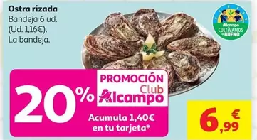 alcampo - Ostra Rizada