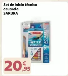 Set De Inicio Técnica Acuarela