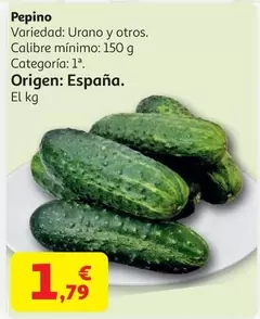 Pepino
