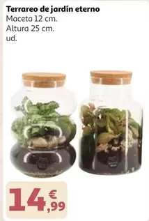 Terrareo De Jardin Etern