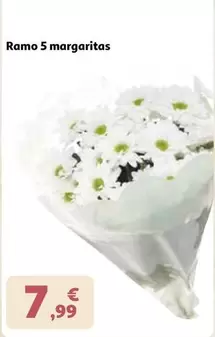 Ramo 5 Margaritas