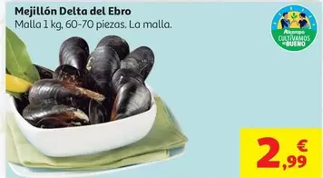 Delta - Mejillón  Del Ebro
