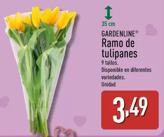 Gardenline - Ramo De Tulipanes