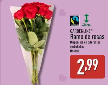 Gardenline - Ramo De Rosas