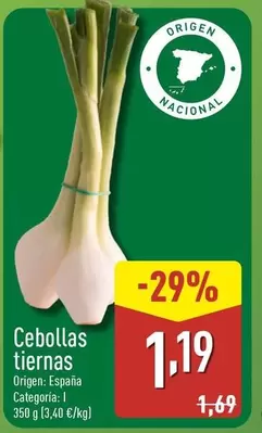 Cebollas Tiernas