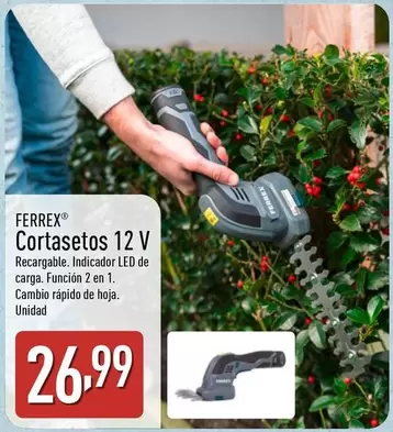 Ferrex - Cortasetos 12 V