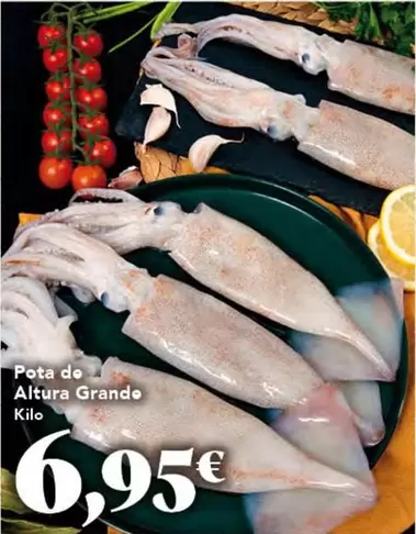 Pota De Altura Grande