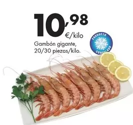 Gambón Gigante, 20/30 Piezas
