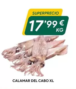 Calamar Del Cabo Xl