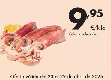 Calamar-Chipirón
