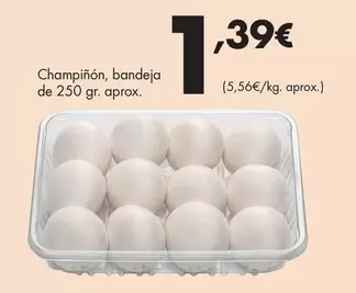 Champiñón